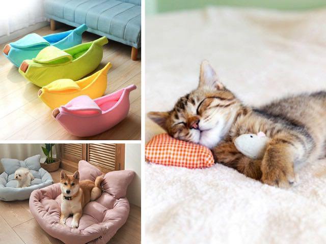 Những vật dụng mà các amp;#34;con senamp;#34; nên sắm cho amp;#34;boss cưngamp;#34;, có món chỉ 7.000 đồng nhưng rất tiện lợi - 3