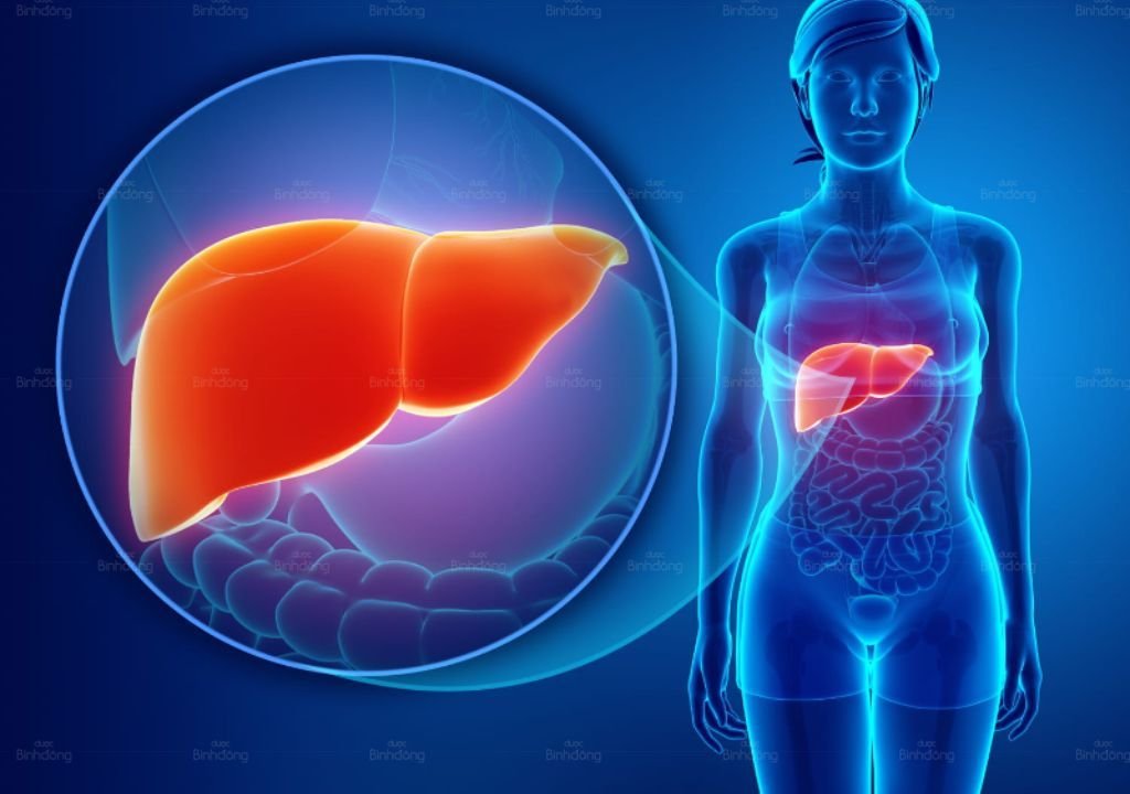 Dấu hiệu nhận biết gan đang thải độc? Khi nào? Qua đường nào?