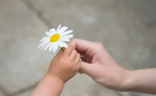 3 CHÌA KHÓA ĐỂ ĐẠT THÀNH CÔNG - THÁI ĐỘ, HÀNH ĐỘNG VÀ SỰ BIẾT ƠN