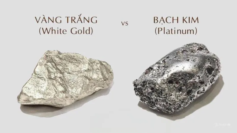 Platin là gì? Trang sức Platin và vàng trắng có gì khác nhau?